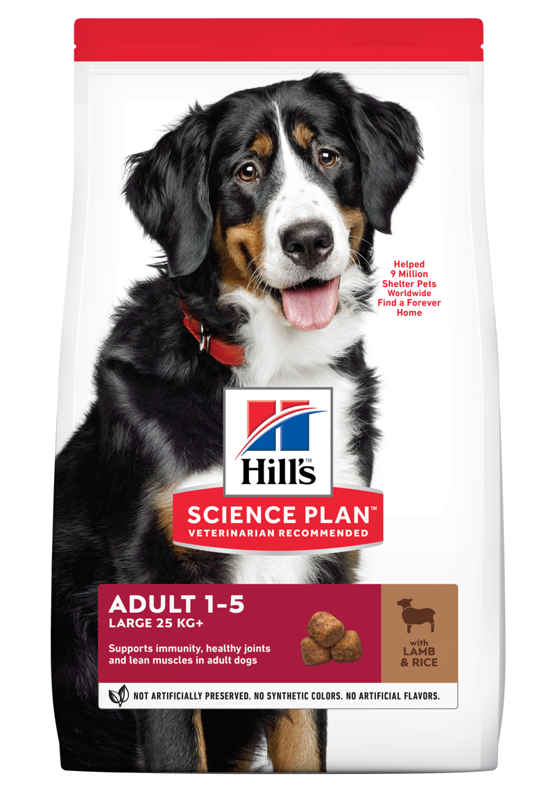 Hill's SP Dog Adult Large