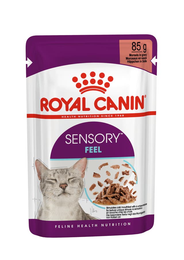 RC FHN Cat Sensory Feel Blautfóður