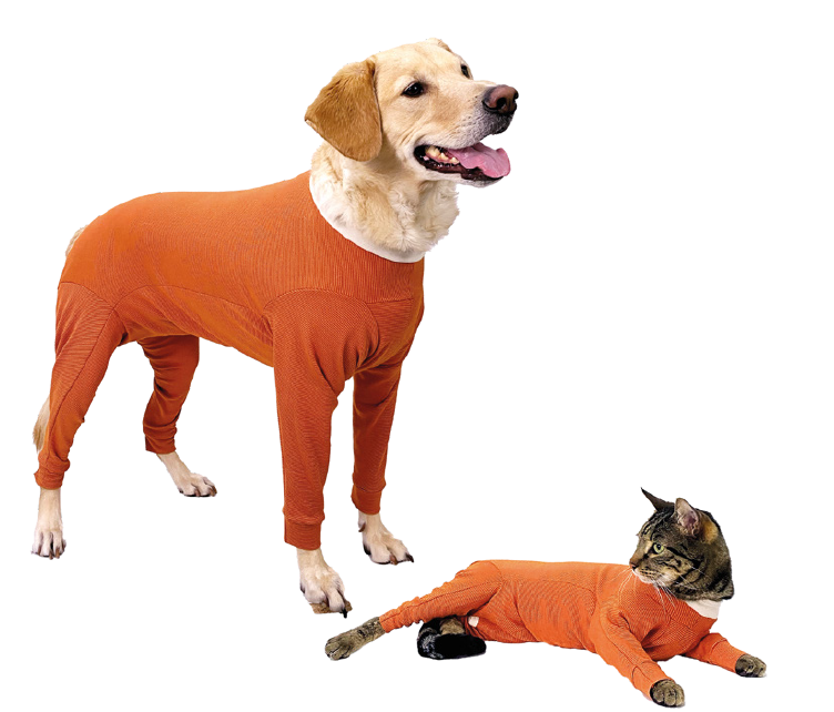 Luna & Milo Copperbody 4-Legs Galli