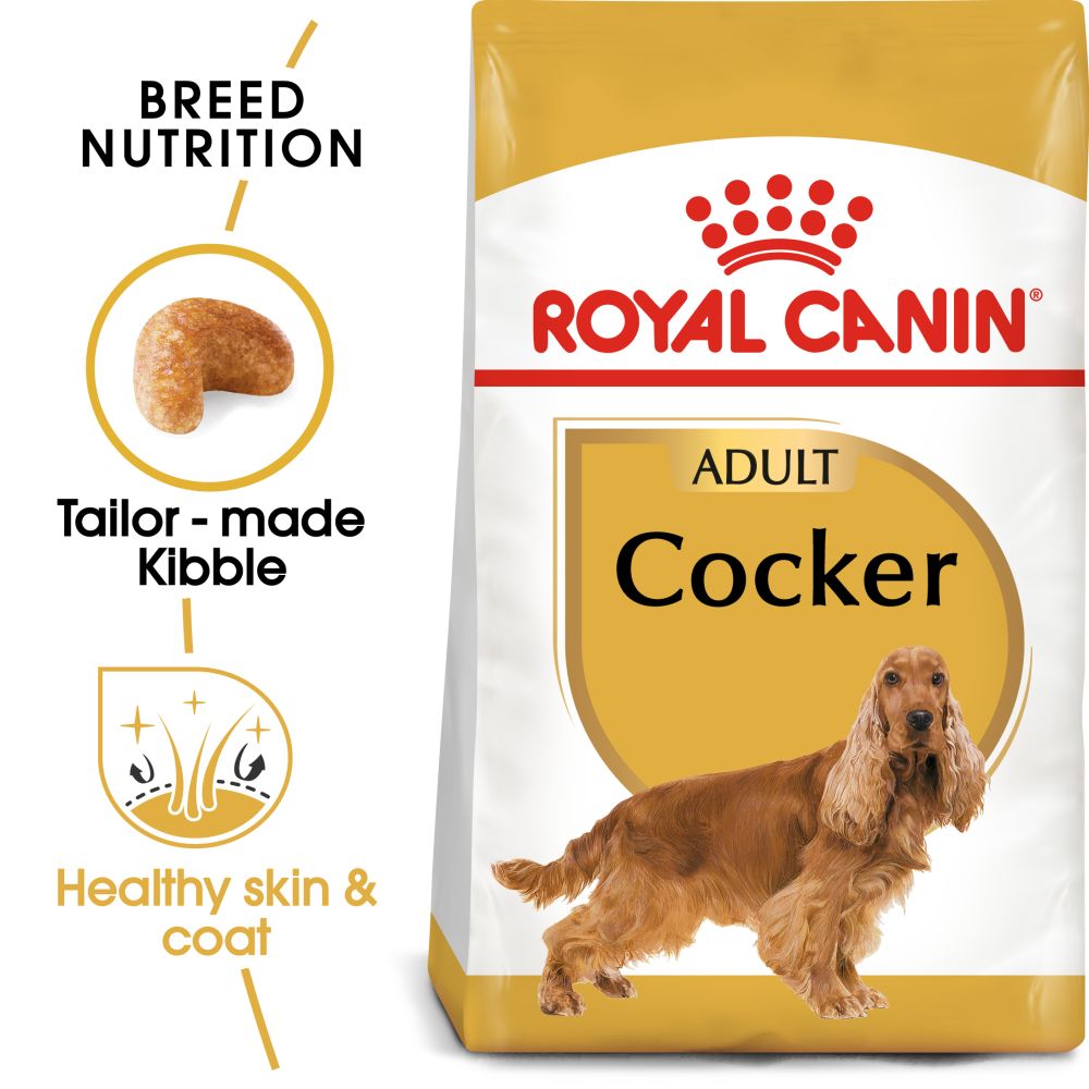 RC BHN Dog Cocker Adult