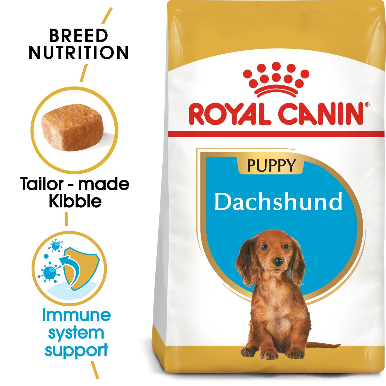 RC BHN Dog Dachshund Puppy