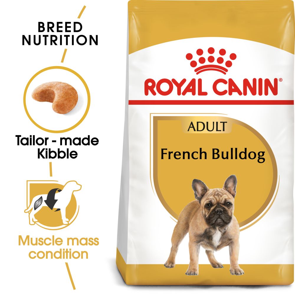 RC BHN Dog French Bulldog Adult