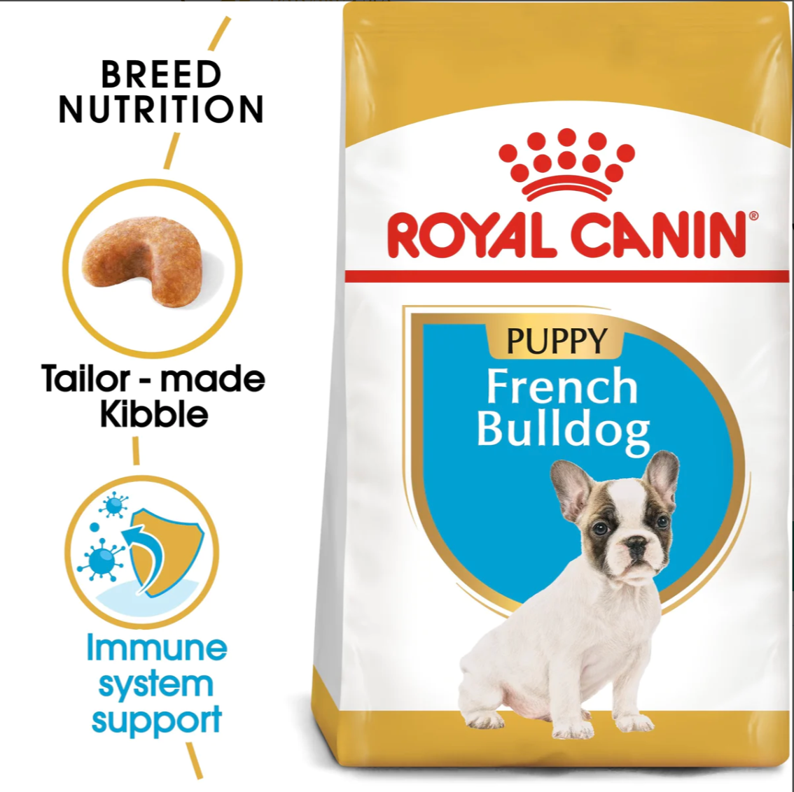 RC BHN Dog French Bulldog Puppy