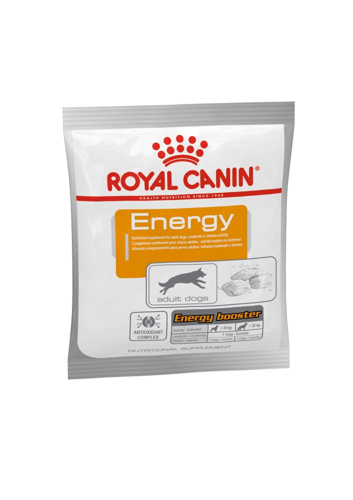 RC Dog Energy