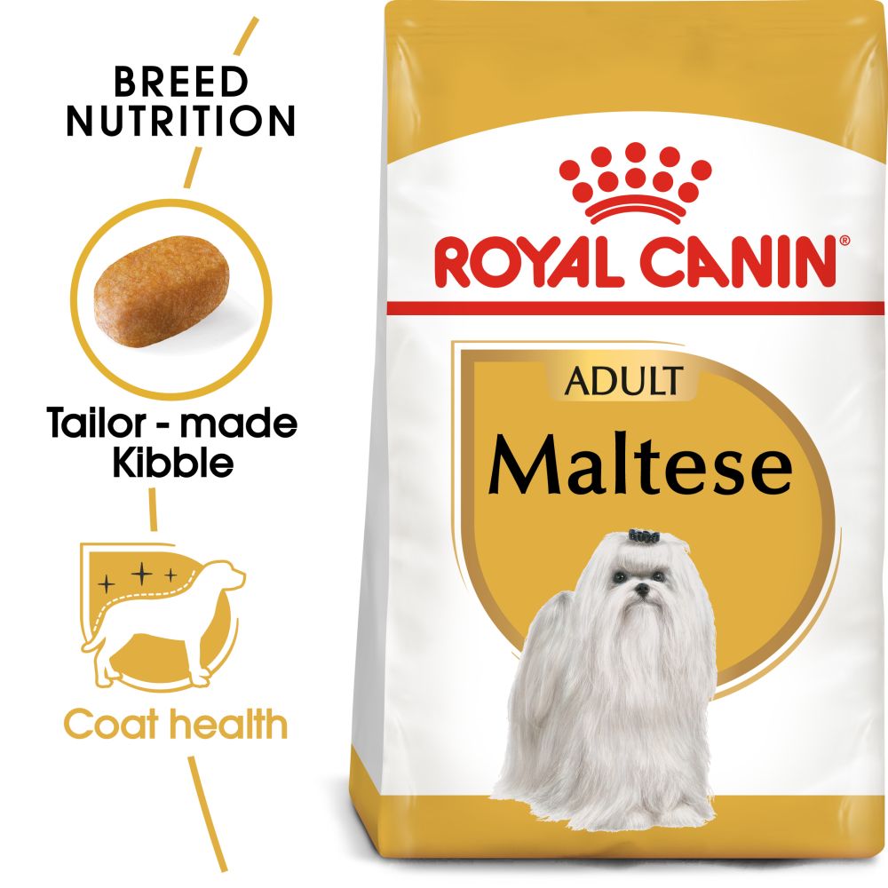 RC BHN Dog Maltese Adult