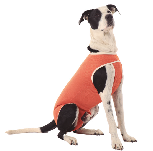 Luna & Milo Copperbody Castration Galli