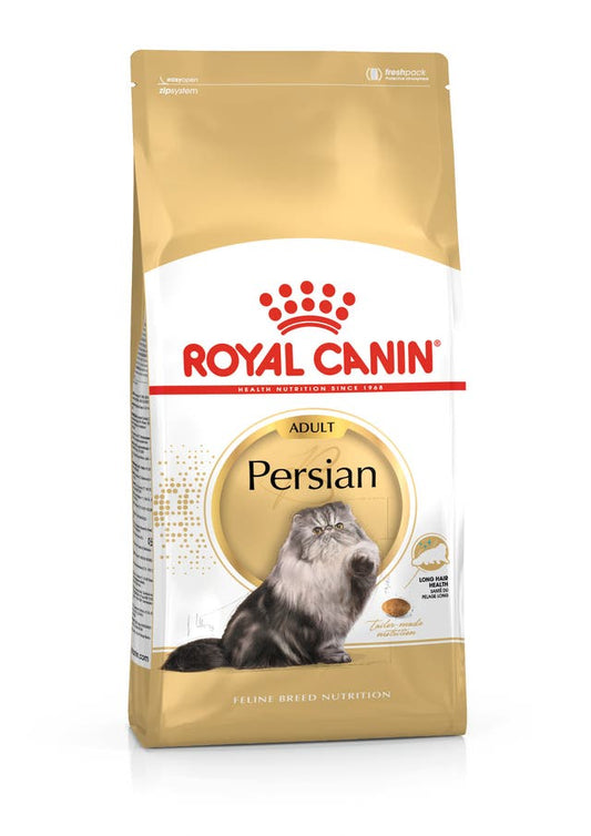 RC FBN Cat Persian Adult