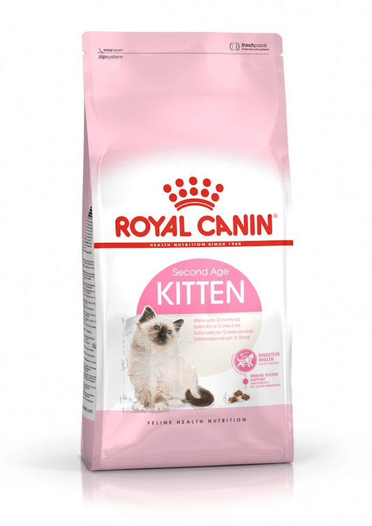 RC FHN Kitten