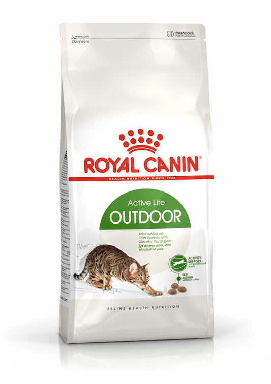 RC FHN Cat Outdoor