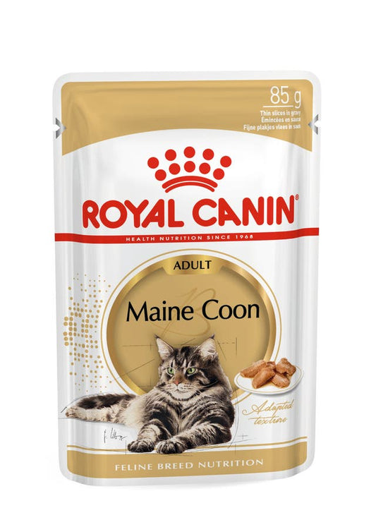 RC FBN Cat Maine Coon Adult Blautfóður