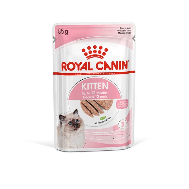 RC FHN Kitten Blautfóður
