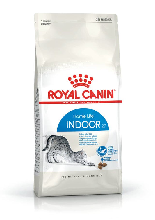 RC FHN Cat Indoor