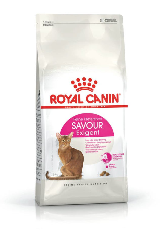 RC FHN Cat Savour Exigent