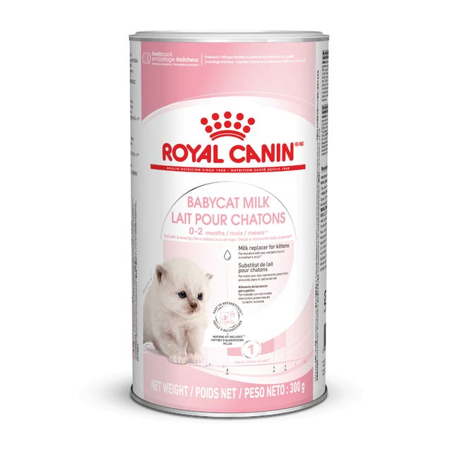 RC FHN Babycat Milk