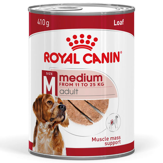 RC SHN Dog Medium Adult Blautfóður