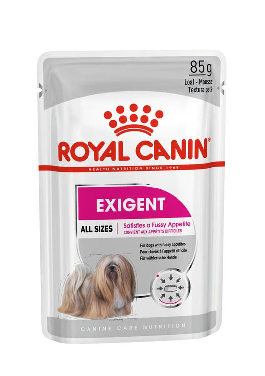 RC CCN Dog Exigent Blautfóður
