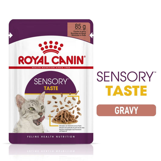 RC Cat Sensory Taste Blautfóður