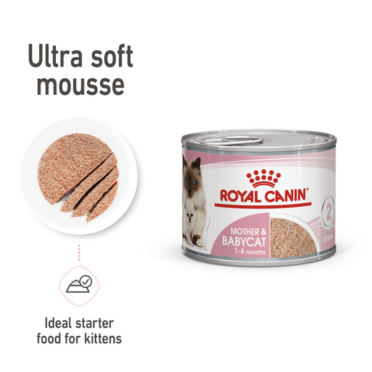RC FHN Cat Mother & Babycat Blautfóður