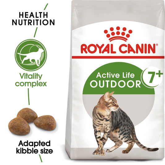 RC FHN Cat Outdoor