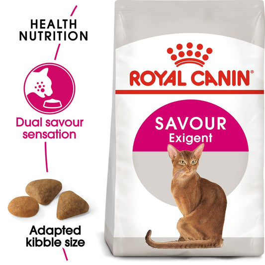 RC FHN Cat Savour Exigent