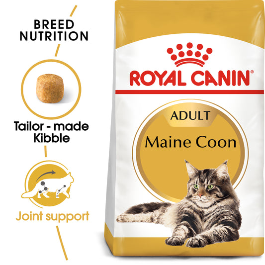 RC FBN Cat Maine Coon Adult