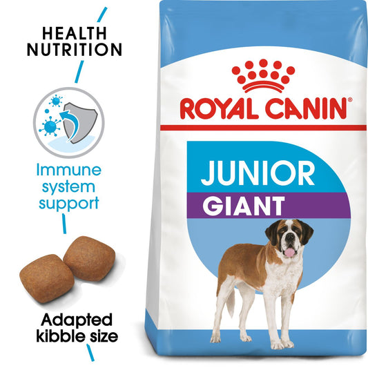 RC SHN Dog Giant Junior