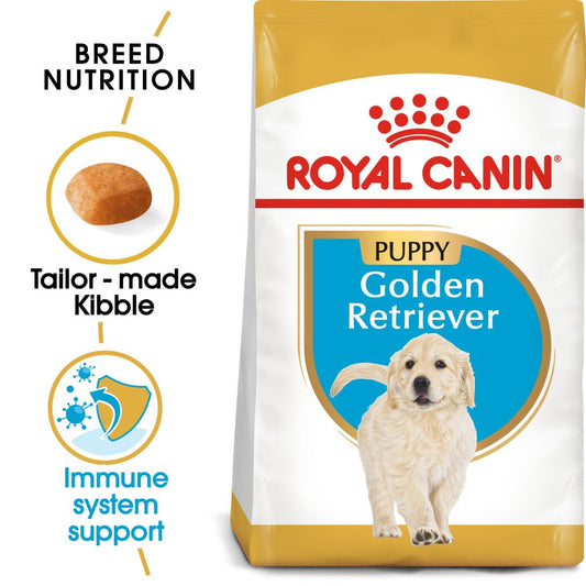 RC BHN Dog Golden Retriever Puppy