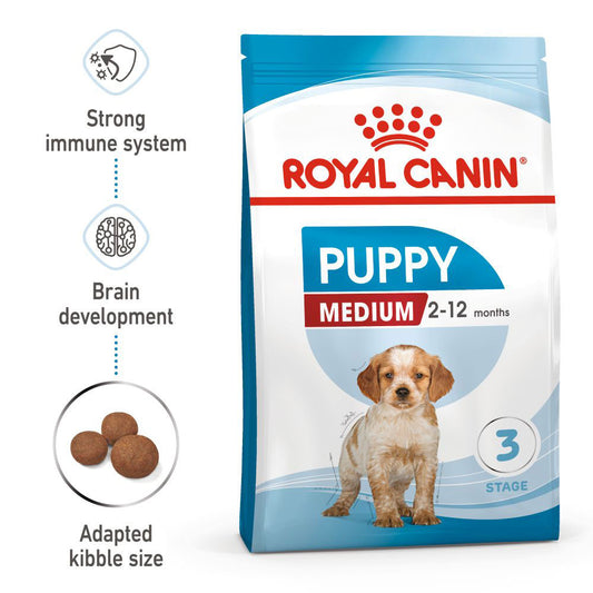 RC SHN Dog Medium Puppy
