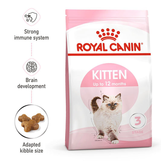 RC FHN Kitten