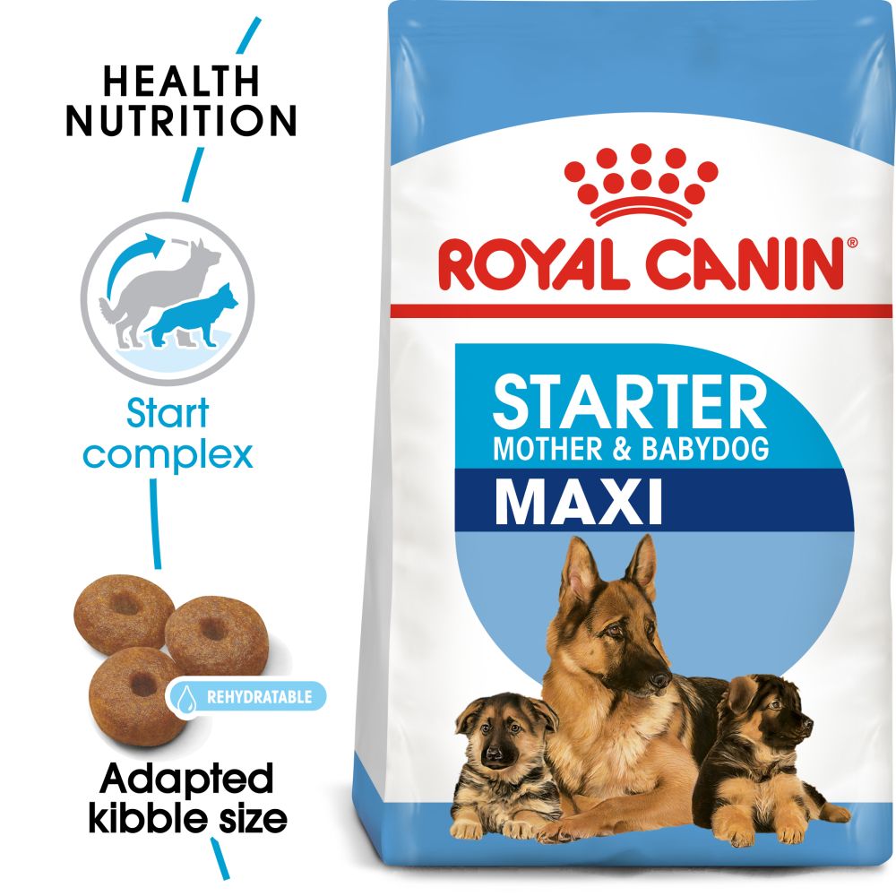 RC SHN Dog Maxi Starter Mother and Babydog