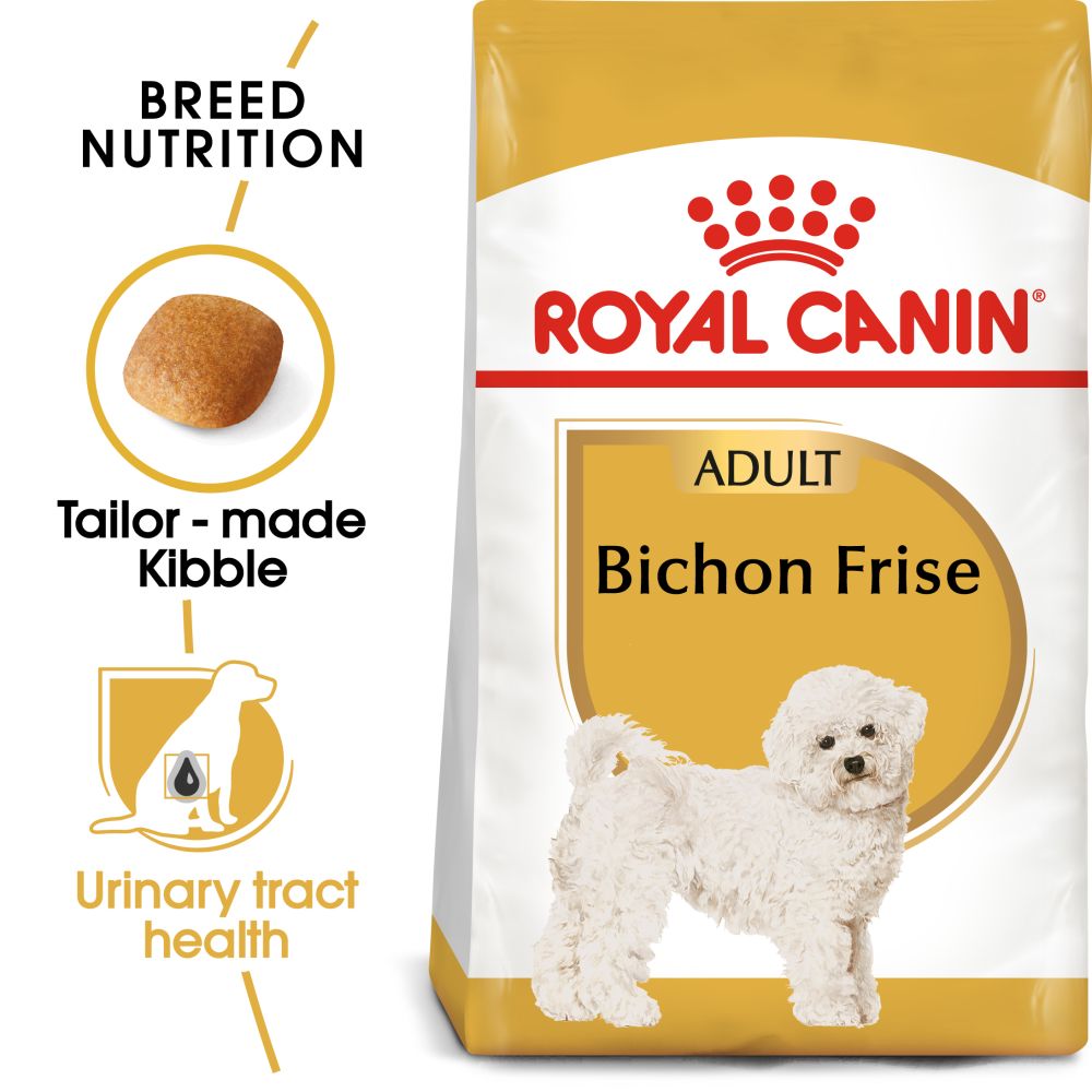 RC BHN Dog Bichon Frise