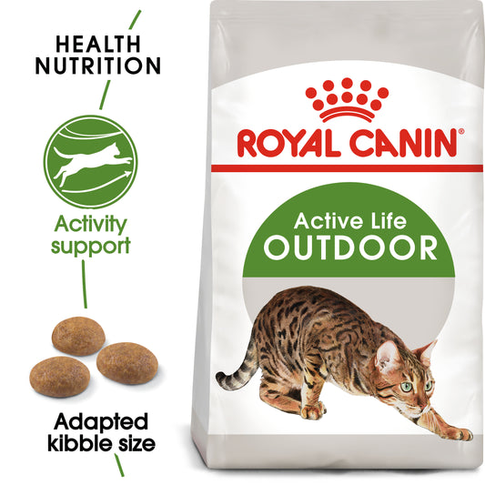 RC FHN Cat Outdoor