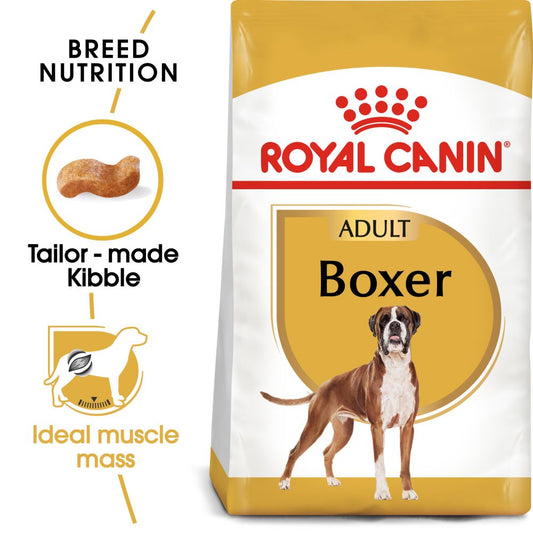 RC BHN Dog Boxer Adult