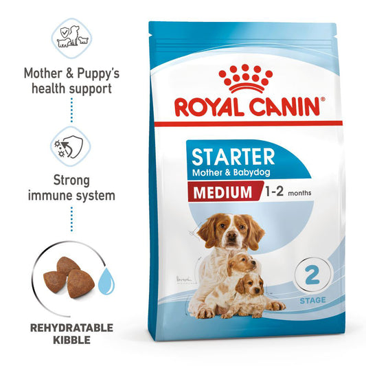 RC SHN Dog Medium Starter Mother and Babydog