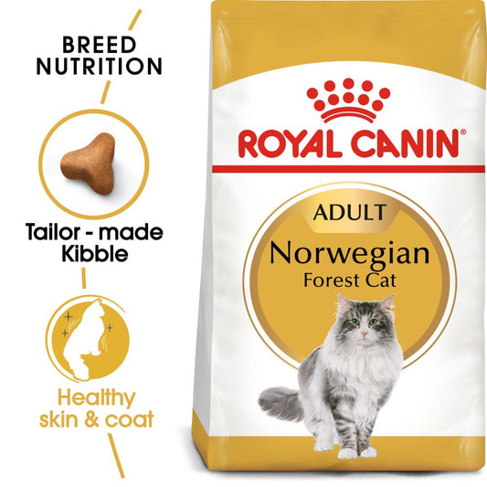 RC FBN Cat Norwegian Forest Cat Adult