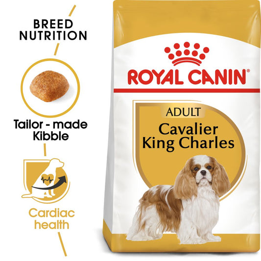 RC BHN Dog Cavalier King Charles Adult