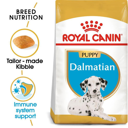 RC BHN Dog Dalmatian Puppy