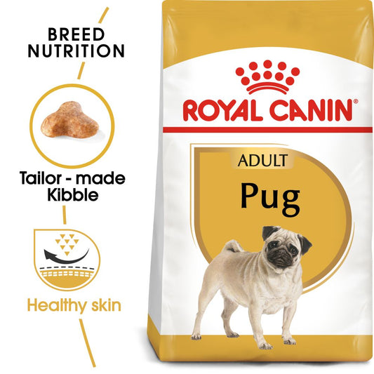 RC BHN Dog Pug Adult