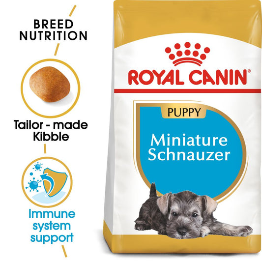RC BHN Dog Miniature Schnauzer Puppy