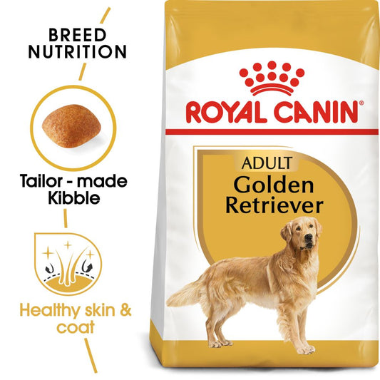 RC BHN Dog Golden Retriever Adult