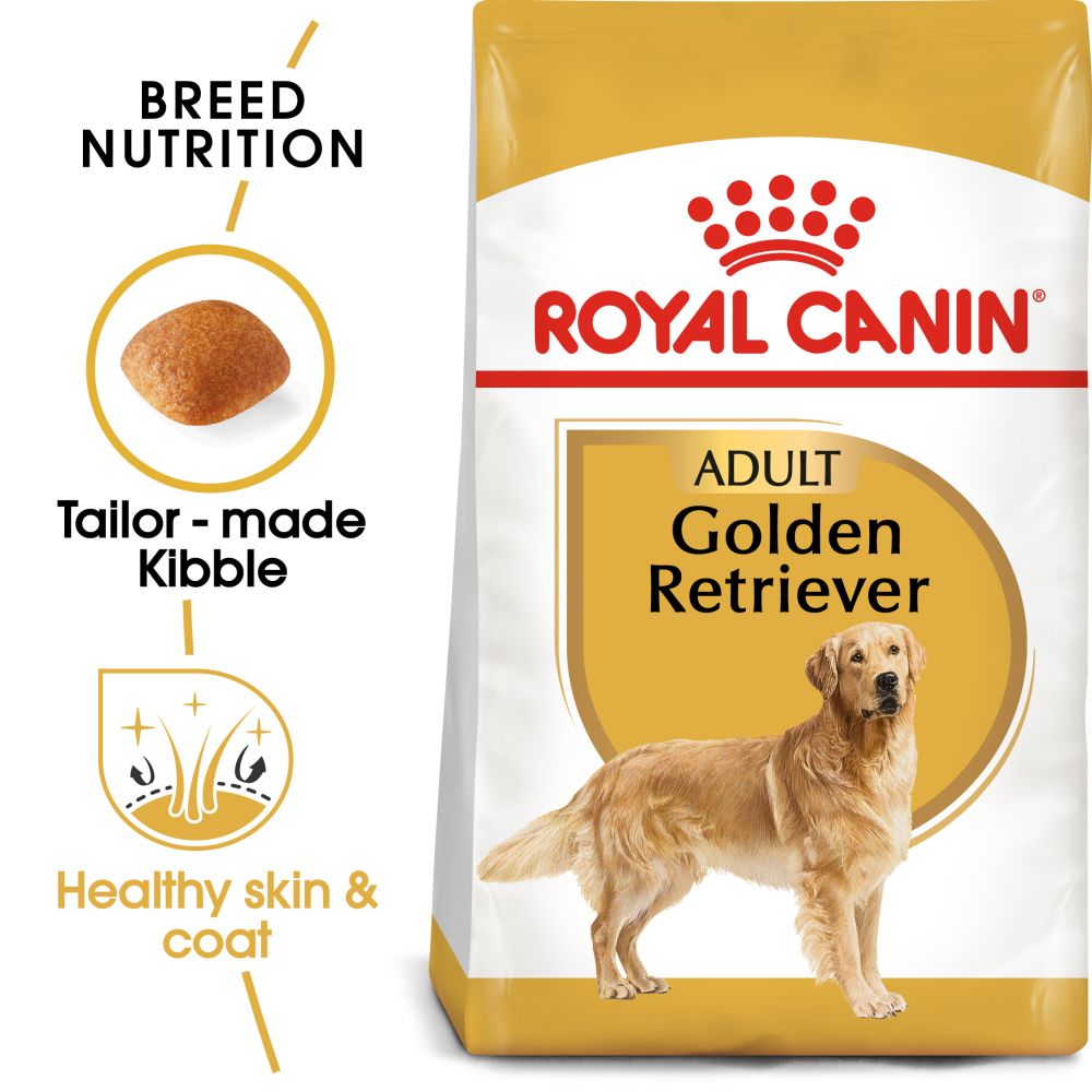 RC BHN Dog Golden Retriever Adult