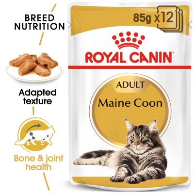 RC FBN Cat Maine Coon Adult Blautfóður