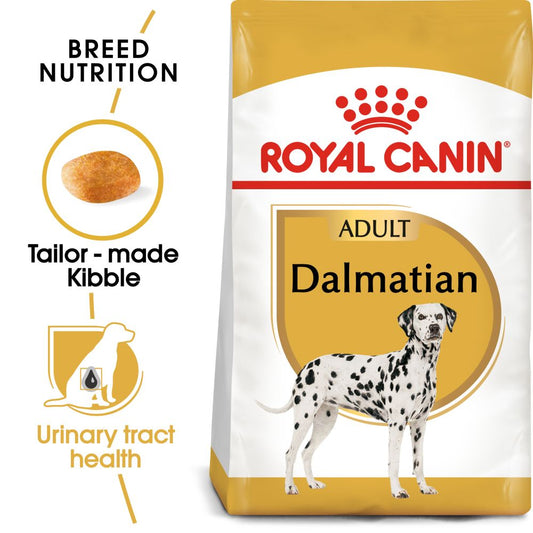 RC BHN Dog Dalmatian Adult