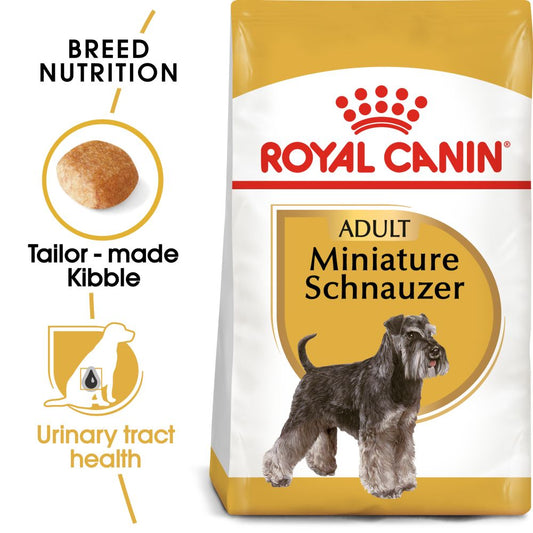RC BHN Dog Miniature Schnauzer Adult