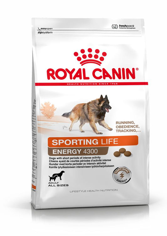 RC Dog Sporting Life Energy 4300