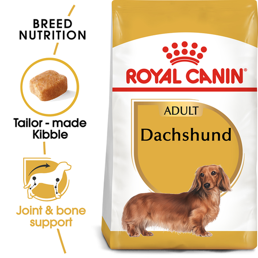 RC BHN Dog Dachshund Adult