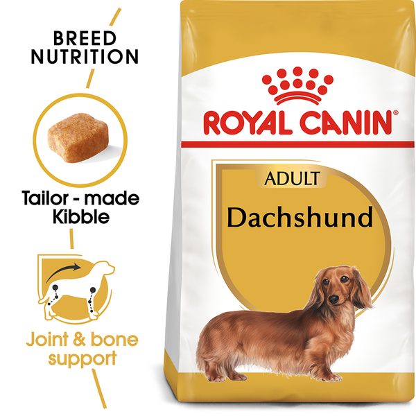 RC BHN Dog Dachshund Adult