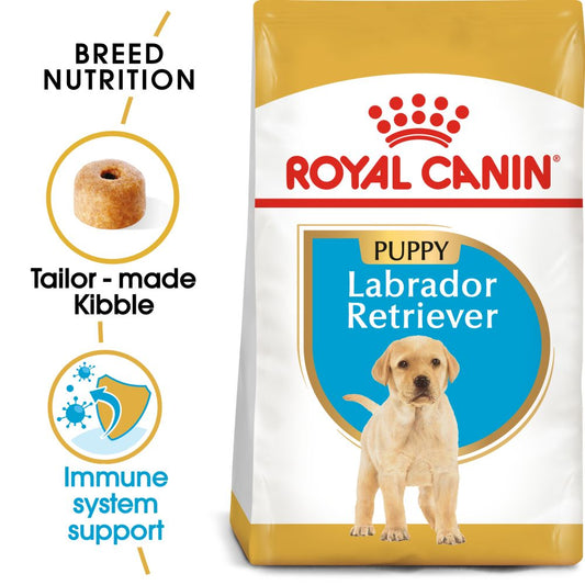 RC BHN Dog Labrador Retriever Puppy
