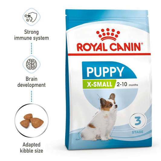 RC SHN Dog X-Small Puppy