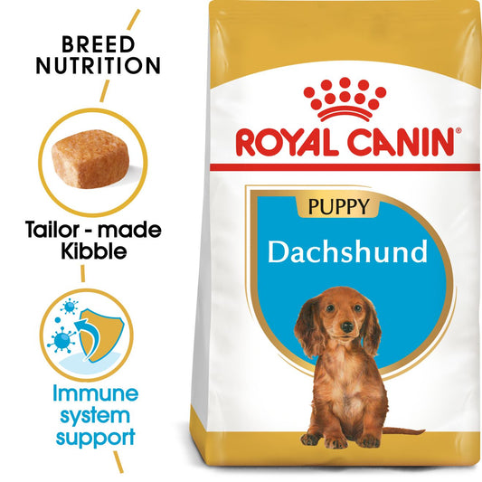 RC BHN Dog Dachshund Puppy